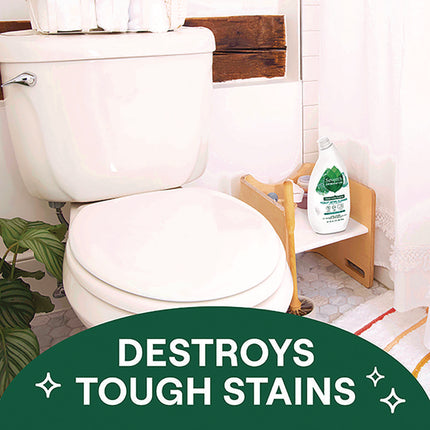 Toilet Bowl Cleaner, Fresh Mint Scent, 24 oz Bottle