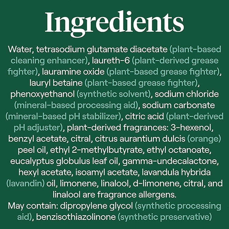 Foaming Dish Spray, Mandarin Orange Scent, 16 oz Bottle