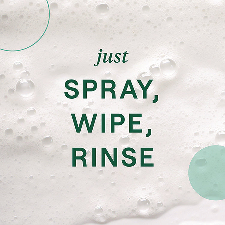 Foaming Dish Spray, Mandarin Orange Scent, 16 oz Bottle