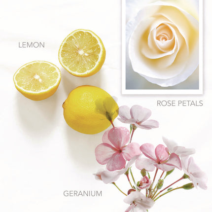 Hand Wash, Vibrant Lemon Scent, 12.2 oz, 12/Carton