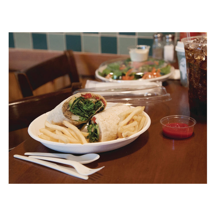 Vanguard Worldview Renewable and Compostable Sugarcane Take-Out Containers, 34.1 oz, 9 x 9 x 1.25, White, 400/Carton