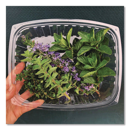 Renewable and Compostable Rectangular Deli Containers with Lid, 24 oz, 4 x 5.5 x 2, Clear, Plastic, 50/Pack, 4 Packs/Carton