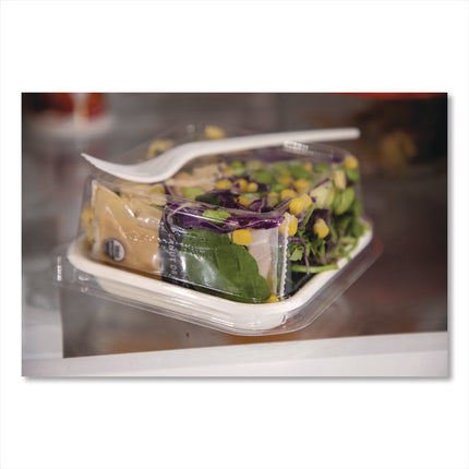 Renewable and Compostable Lids, Fits 5" Square Containers, Clear, Plastic, 50/Pack, 8 Packs/Carton