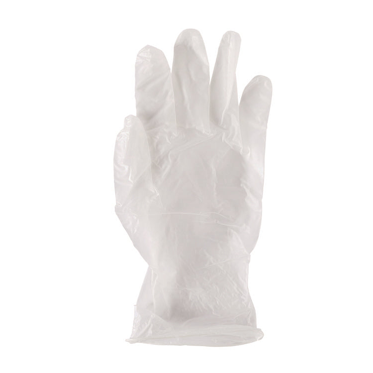 General Purpose Vinyl Gloves, Powder/Latex-Free, 2.6 mil, Large, Clear, 100/Box