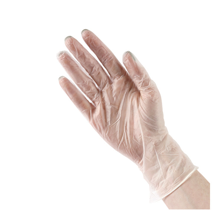 General Purpose Vinyl Gloves, Powder/Latex-Free, 2.6 mil, Large, Clear, 100/Box