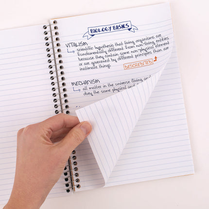Wirebound Notebook, 2-Subject, Medium/College Rule, Randomly Assorted Cover Color, (80) 9.5 x 6 Sheets