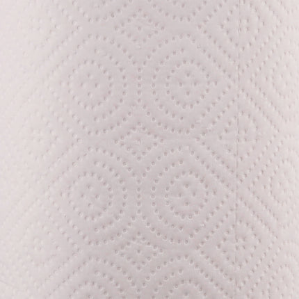 Kitchen Roll Towel, 2-Ply, 11 X 8.5, White, 250/roll, 12 Rolls/carton