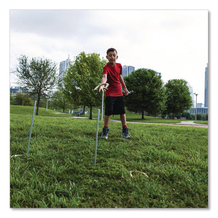 Deluxe Horseshoe Tournament Set, 4 Horseshoes/2 Stakes/Carry Bag/Rule Sheet