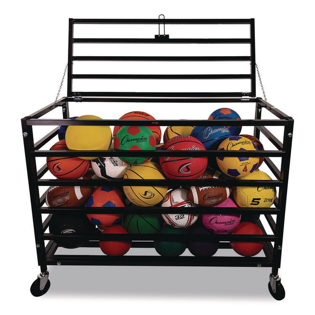 All Pro Lockable Ball Locker, Metal, 220 lb Capacity, 24 x 47 x 37, Black