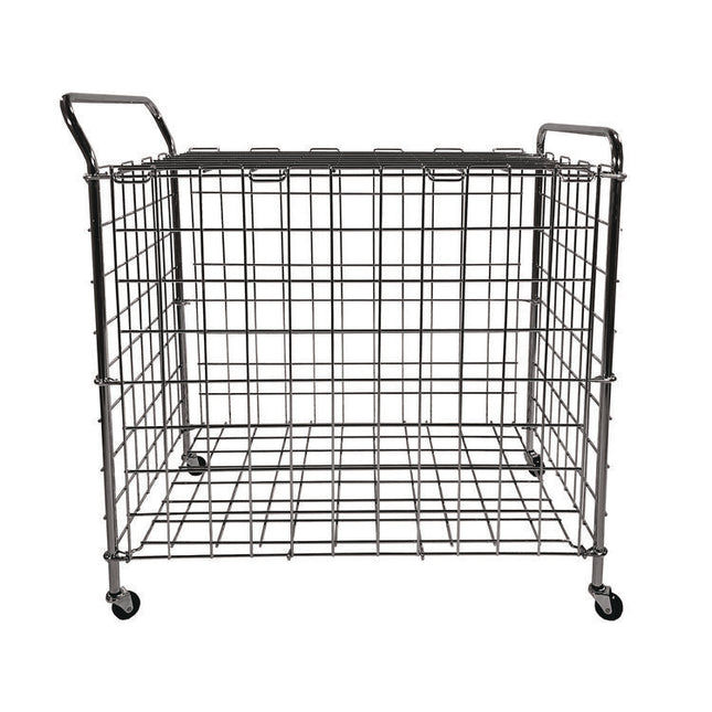 Portable Lockable Ball Locker, Metal, 176 lb Capacity, 24 x 39 x 40, Chrome