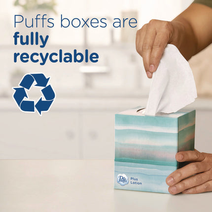 Plus Lotion Facial Tissue, 2-Ply, White, 124 Sheets/Box, 24 Boxes/Carton