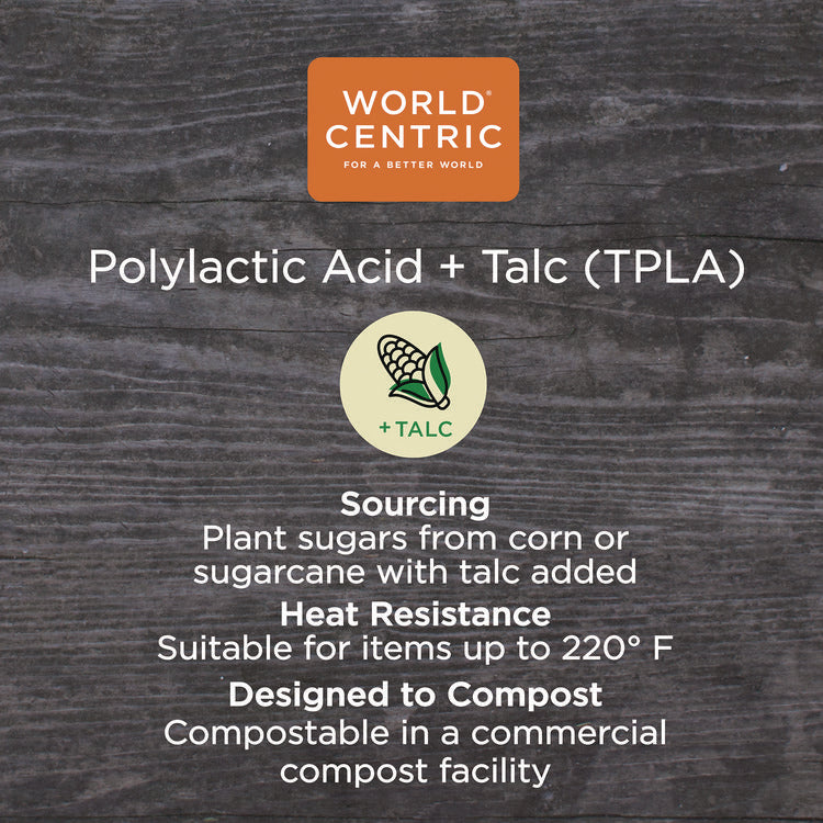 TPLA Compostable Cutlery, Asian Soup Spoon, Plastic, White, 500/Carton