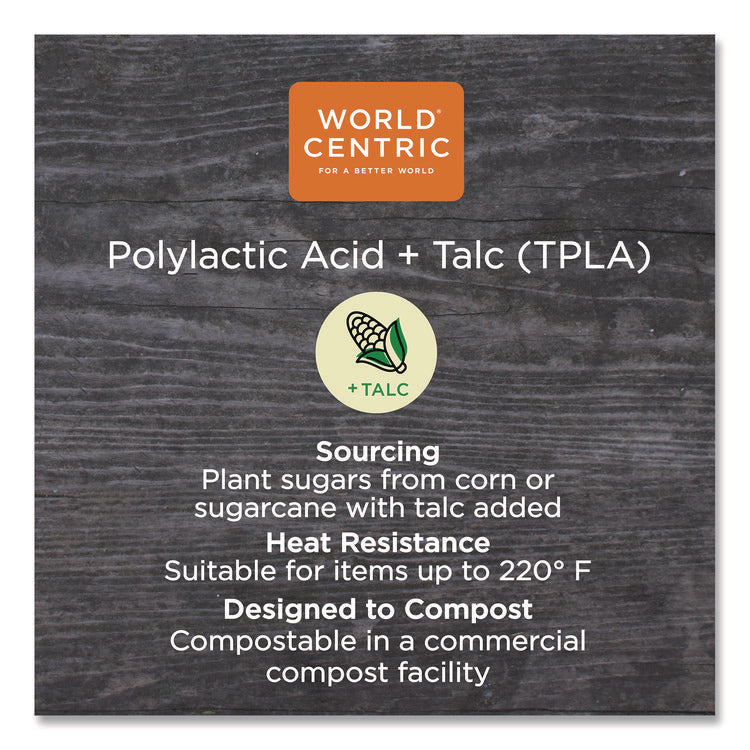 TPLA Compostable Cutlery, Spork, Plastic, White, 750/Carton