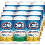 Disinfecting Wipes, Bleach Free Cleaning Wipes, 1-Ply, 7 x 8, Fresh Scent/Citrus Blend, White, 75/Canister, 3/Pack, 4/Carton