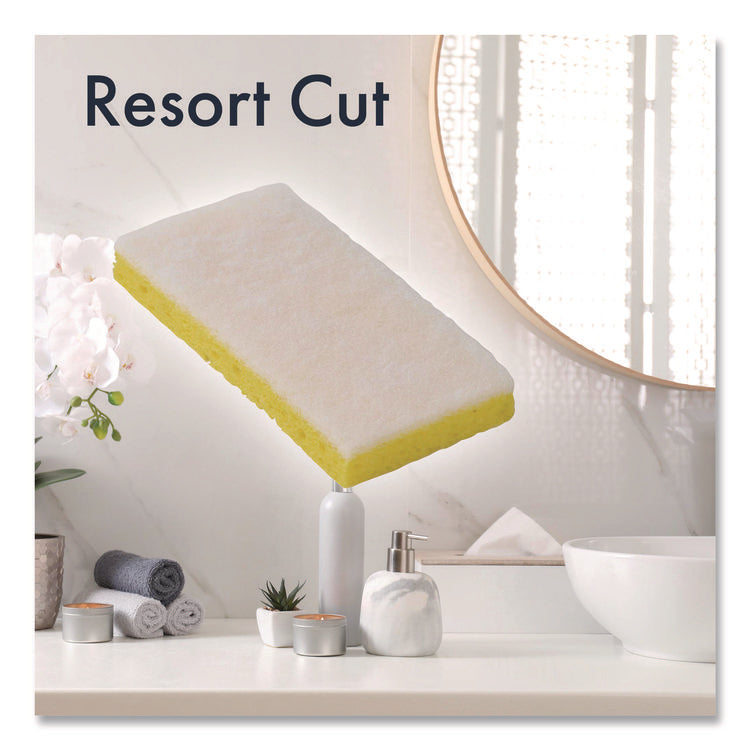 Resort Cut Scrub Sponge, Light Duty, 6.25 x 3.18, White/Yellow, 40/Carton