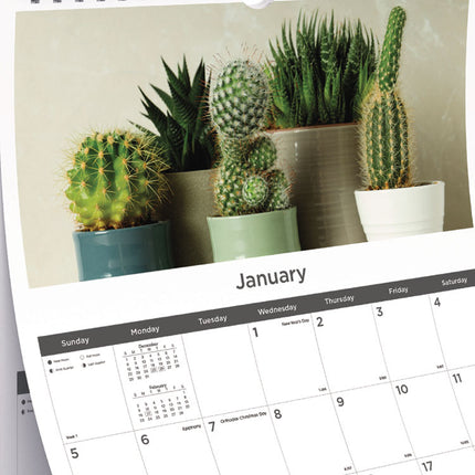 12-Month Wall Calendar, Succulent Plants Photography, 12 x 17, White/Multicolor Sheets, 12-Month (Jan to Dec): 2025