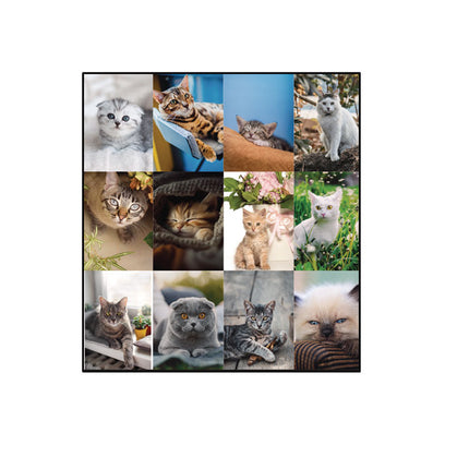 Pets Collection Monthly Desk Pad, Furry Kittens Photography, 22 x 17, White Sheets, Black Binding, 12-Month (Jan-Dec): 2025