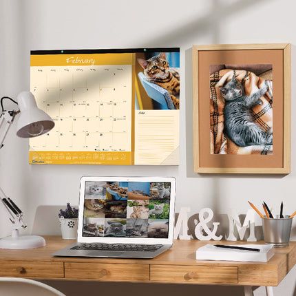 Pets Collection Monthly Desk Pad, Furry Kittens Photography, 22 x 17, White Sheets, Black Binding, 12-Month (Jan-Dec): 2025