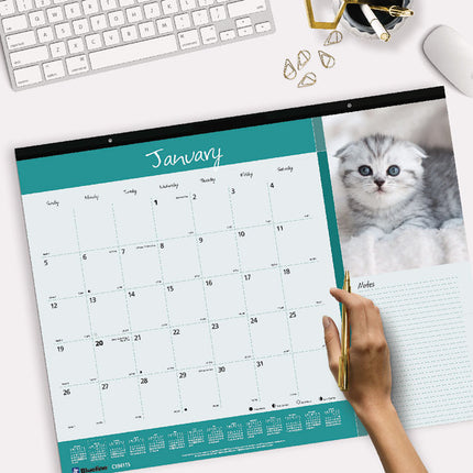 Pets Collection Monthly Desk Pad, Furry Kittens Photography, 22 x 17, White Sheets, Black Binding, 12-Month (Jan-Dec): 2025