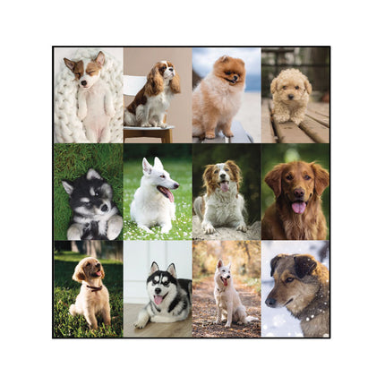 Pets Collection Monthly Desk Pad, Puppies Photography, 22 x 17, Black Binding, Clear Corners, 12-Month (Jan to Dec): 2025