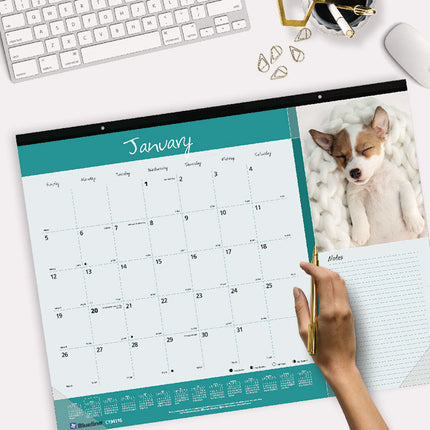 Pets Collection Monthly Desk Pad, Puppies Photography, 22 x 17, Black Binding, Clear Corners, 12-Month (Jan to Dec): 2025