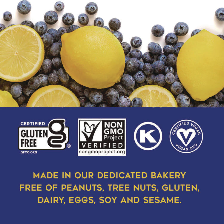 Warm 'N Chewey Gluten-Free Blueberry/Lemon Seed and Oat Bar, 1.6 oz Bar, 9/Box