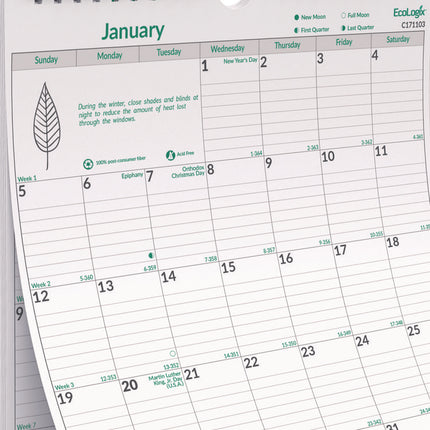 EcoLogix Monthly Wall Calendar, EcoLogix Artwork, 12 x 17, White/Green Sheets, 12-Month (Jan to Dec): 2025