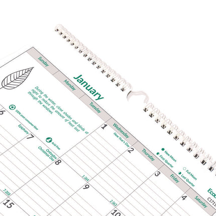 EcoLogix Monthly Wall Calendar, EcoLogix Artwork, 12 x 17, White/Green Sheets, 12-Month (Jan to Dec): 2025