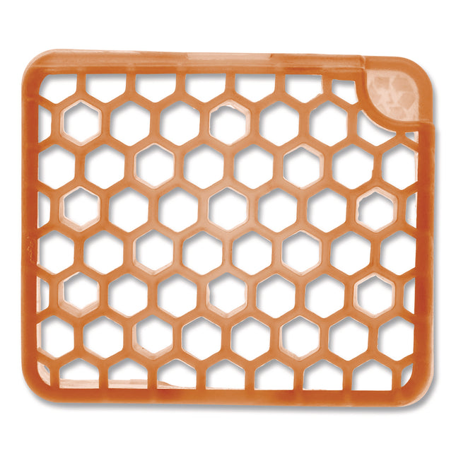 myfresh Refill, Mango, 36/Carton
