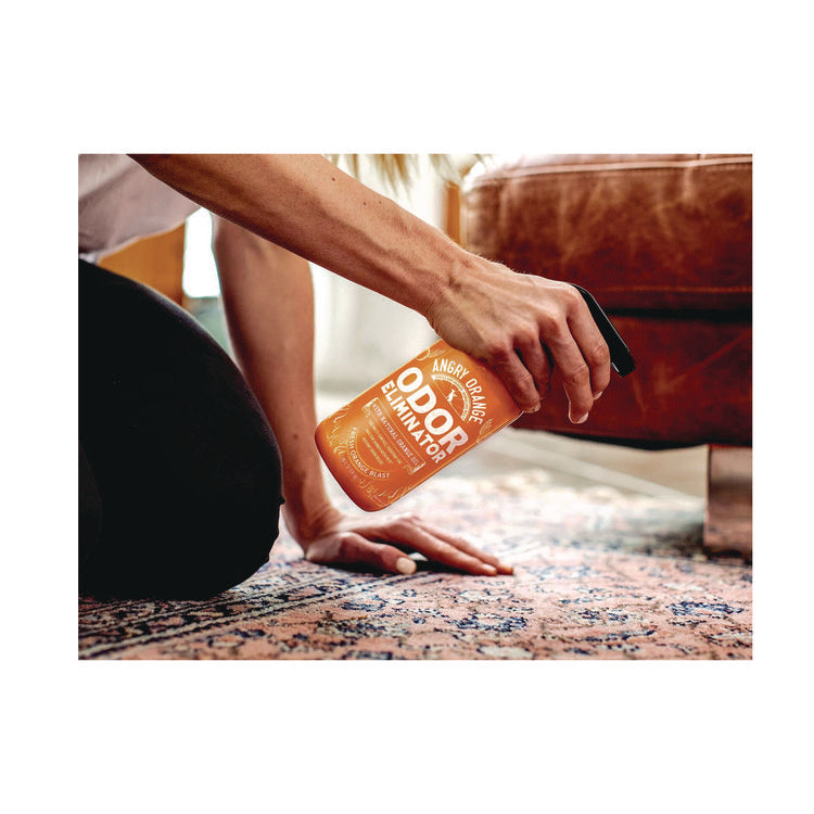 Pet Odor Eliminator Spray, Fresh Orange Blast Scent, 20 oz Spray Bottle