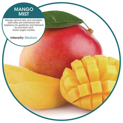 WCBasix Urinal Screen, Mango Mist Scent, Orange, 0.11 oz, 10/Box