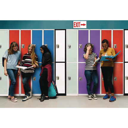 Steel Storage Locker, 2 Compartment, 12 x 12 x 72, Black Body/White Doors