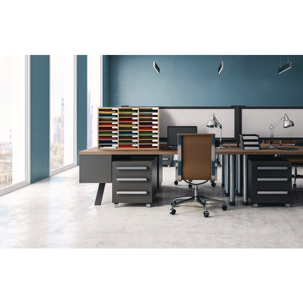 Wooden 27 Compartment Literature Organizer, 27 Sections, Letter Size, 31.49 x 11.81 x 21.65, Medium Oak