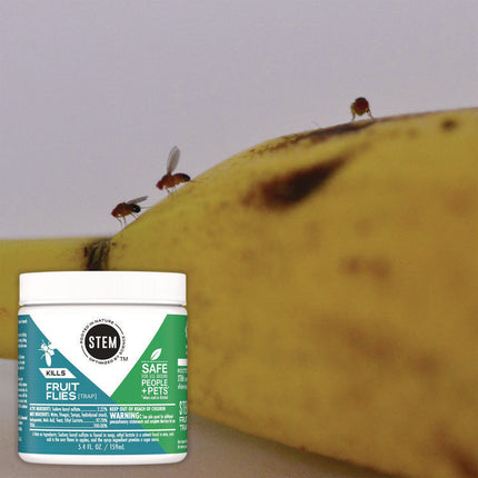 STEM Fruit Flies Trap, 5.4 oz Jar, 8/Carton