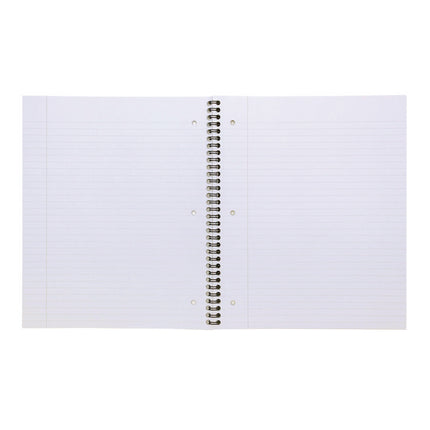 Letter Size Notebook, 1-Subject, Medium/College Rule, Metallic Green/White Cover, (100) 11 x 8.5 Sheets, 3/Pack