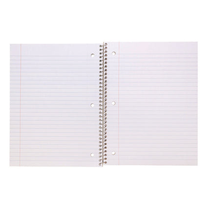 Letter Size Notebook, 1-Subject, Medium/College Rule, Metallic Green/White Cover, (50) 10.5 x 8 Sheets, 3/Pack
