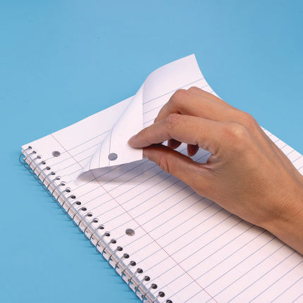 Letter Size Notebook, 1-Subject, Medium/College Rule, Metallic Green/White Cover, (50) 10.5 x 8 Sheets, 3/Pack