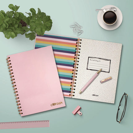 B5 Size Notebook, 1-Subject, Medium/College Rule, Pink Cover, (80) 9.8 x 6.9 Sheets, 3/Pack