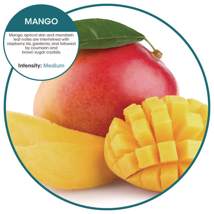 Hang Tag Air Freshener With Suction Cup, Orange, Mango, 72/carton