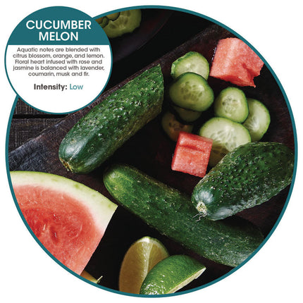 myfresh Refills, Cucumber Melon, 36/Carton