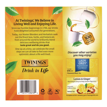 Tea Bags, Earl Grey, Individually Wrapped, 100/Carton