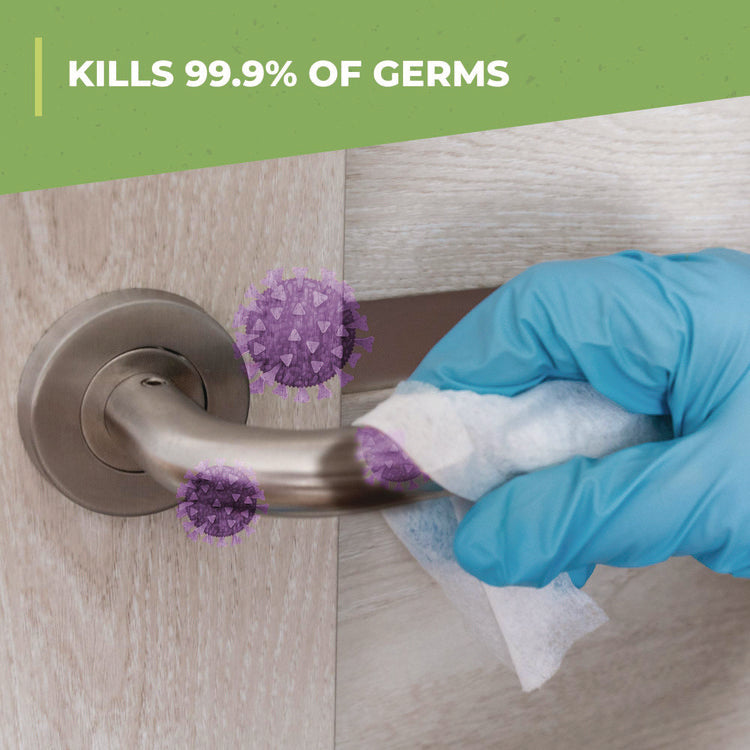 Clean Finish Disinfectant Cleaner, Herbal, 32 Oz Spray Bottle, 12/carton