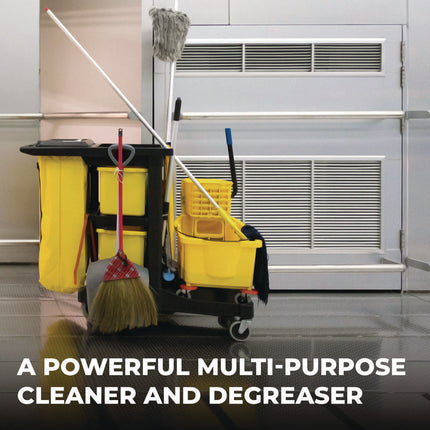 Clean Building All-Purpose Cleaner Concentrate, 1 Gal Bottle, 2/carton