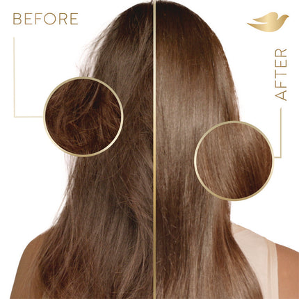 Coconut Conditioner, 12 oz Bottle, 6/Carton