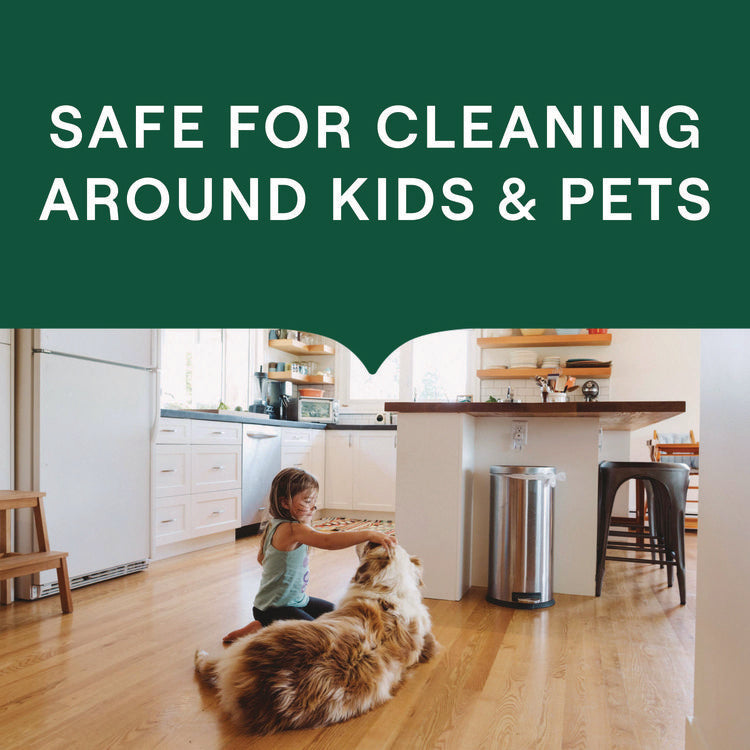 Multi-Surface Wipes, 7 x 7, Lemon Zest, White, 70 Wipes/Canister, 6/Carton