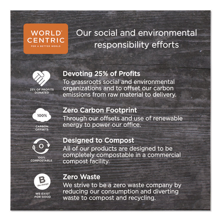 TPLA Compostable Cutlery, Spork, Plastic, White, 1,000/Carton