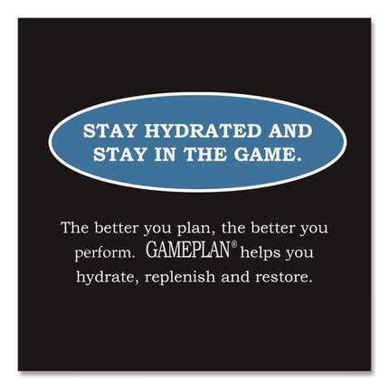 Gameplan Sports Drink, Mixed Berry, 20 oz Bottle, 24/Carton