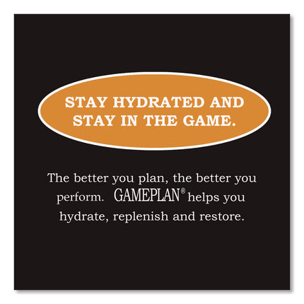 Gameplan Sports Drink, Orange, 20 oz Bottle, 24/Carton