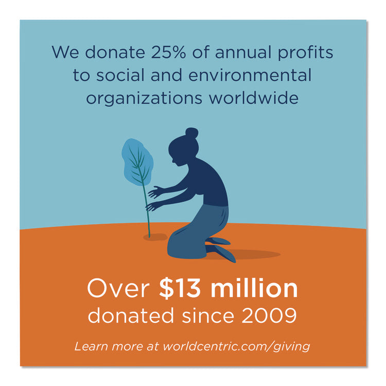 TPLA Compostable Cutlery, Spork, Plastic, White, 1,000/Carton