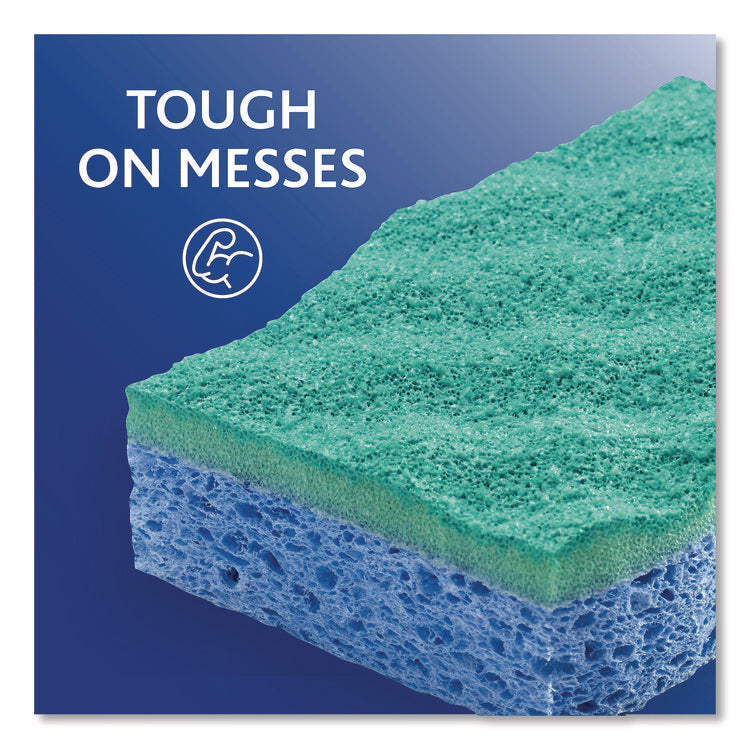 Scrunge Non-Scratch Scrub Sponge, 2.63" x 4.25", 1" Thick, Green/Blue, 2/Pack, 8 Packs/Carton